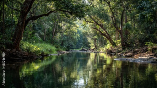 A Sunlit Bend In A Tropical River