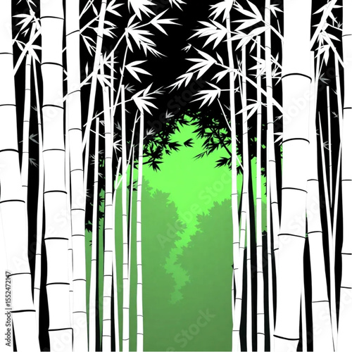 A bamboo forest with filtered green light