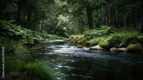 A Winding River Surrounded By Lush Vegetation