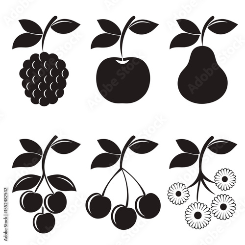 Black and white illustrations of various fruits and flowers with leafy stems and simple shapes