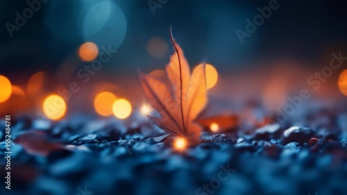 Autumn Leaf in Focus: An isolated, vibrant maple leaf rests gently on a bed of textured stone, framed by the soft glow of blurred bokeh lights creating a serene and artistic scene.