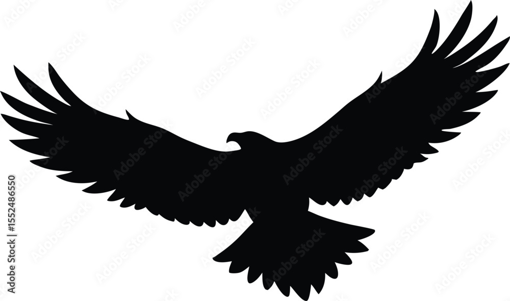 Fototapeta premium Bald eagle soaring in black and white sketch, symbol of freedom, Flying Bald Eagle black and white Silhouette vector