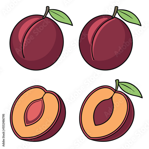 Hand drawn cartoon illustration of ripe plums showing whole and sliced fruit with leaves