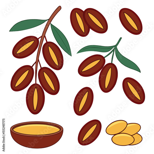 Illustrated vector set of fresh dates fruits bowl and argan oil isolated on white background