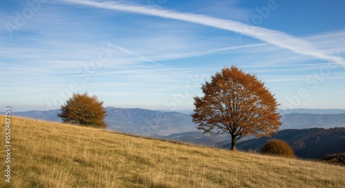 Golden Hues of Autumn Trees on a Rolling Hill Under a Vast Blue Sky with Wispy Clouds