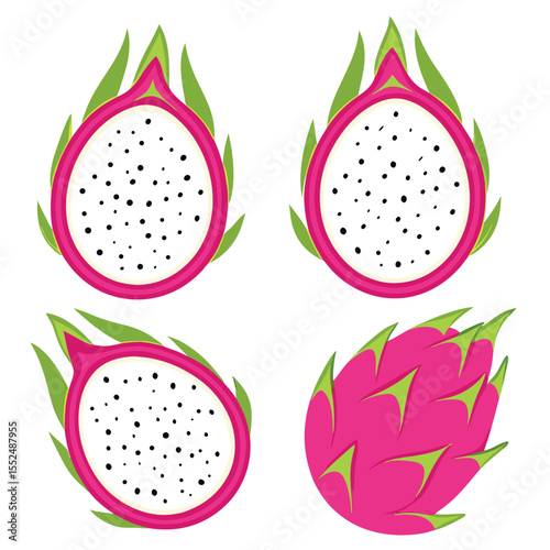 Vector illustration featuring a collection of stylized dragon fruit cut open and whole against a white background
