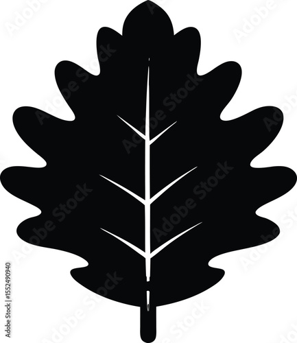 Oak leaf black silhouette vector design