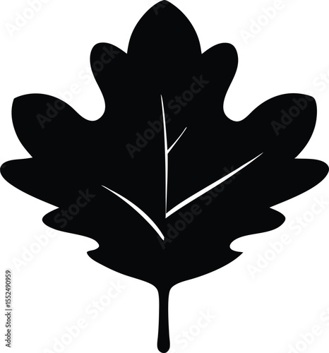 Oak leaf black silhouette vector design