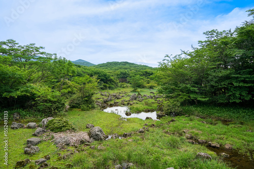 Bild auf Leinwand 제주도 제주시 한라산 1,100도로 휴개소 생태습지