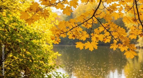 Vibrant yellow maple leaves frame a serene lake in an autumnal forest landscape