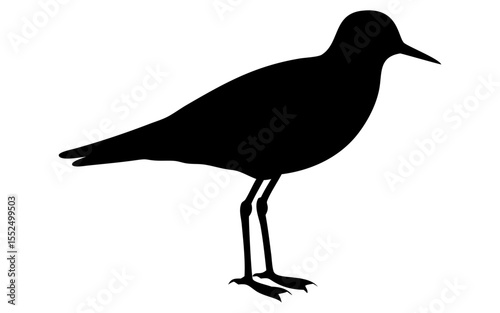 A plover bird full black silhouette vector illustration design
