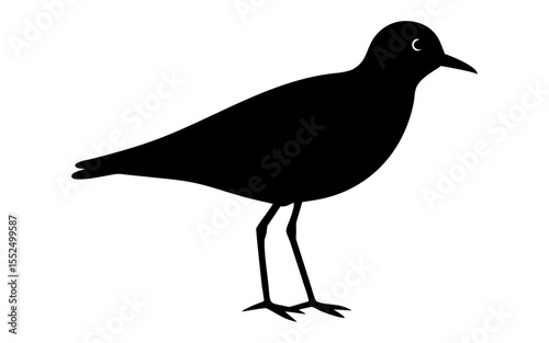 A plover bird full black silhouette vector illustration design