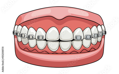 Flat human teeth vector illustration design