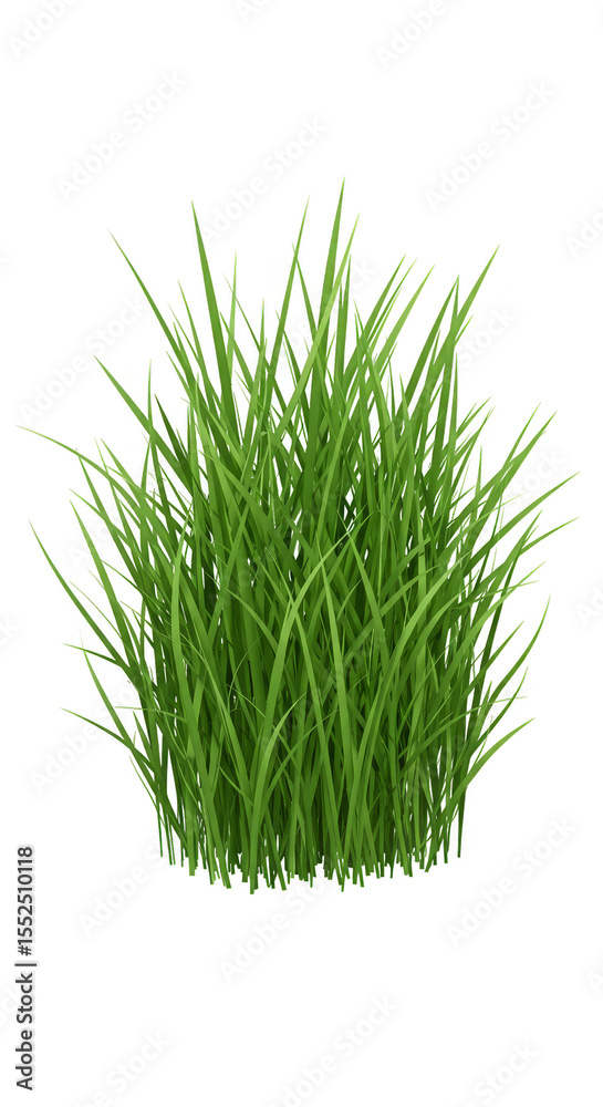 Obraz premium Illustration of Fresh Green Grass Isolated Plant Lawn in Summer
