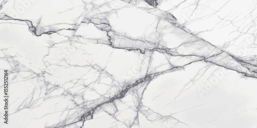 white carrara statuario marble texture background, calacatta glossy marble with grey streaks, satvario tiles, banco superwhite, ittalian blanco catedra stone texture for digital wall and floor tiles.