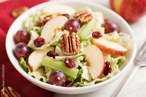 Apple Salad with Honeycrisp Apples, Celery, Grapes, Pecans, and Dried Cranberries