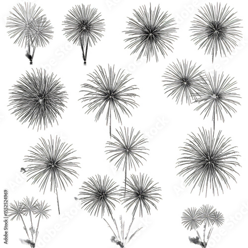 Isolated Transparent Background Featuring Blooming White Floral Arrangement
