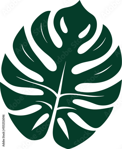 Tropical Leaves and Botanical Bouquets Silhouettes, Jungle Plant, Palm Leaf, and Foliage Vector Collection