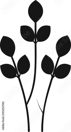 Tropical Leaves and Botanical Bouquets Silhouettes, Jungle Plant, Palm Leaf, and Foliage Vector Collection