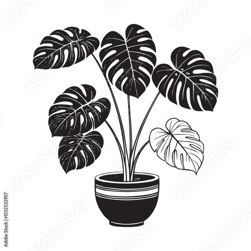 Monstera Plant in Pot Vector – Tropical Leaf Houseplant Silhouette Illustration