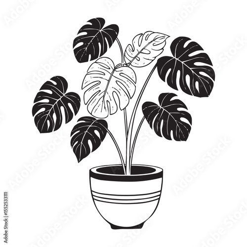 Monstera Plant in Pot Vector – Tropical Leaf Houseplant Silhouette Illustration