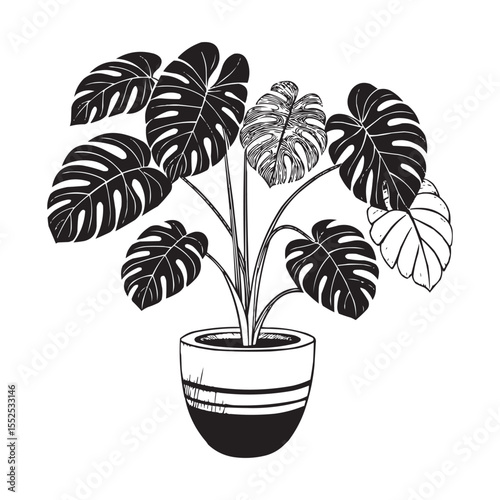 Monstera Plant in Pot Vector – Tropical Leaf Houseplant Silhouette Illustration