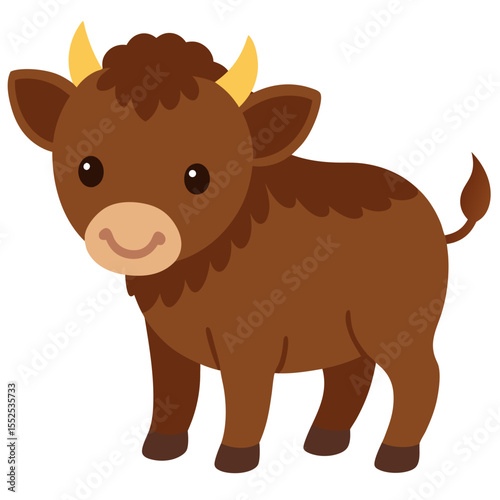 Buffalo on white background