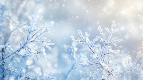 snow covered branches