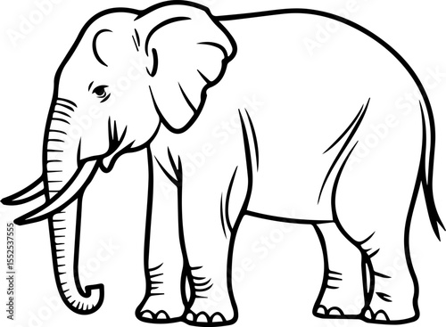 Elephant outline vector illustration coloring book page line art
