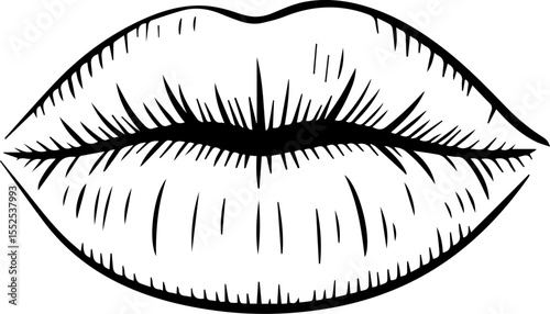 detailed lips line drawing vector illustration