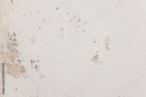 Close Up Of White Wall With Scattered Dark Mold Spots And Mildew