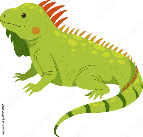 Spiky-Backed Iguana Resting on Ground

