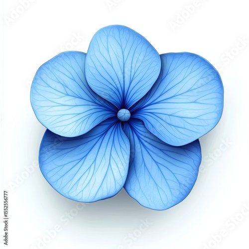 Top view of a blue flower with five petals, white background. 