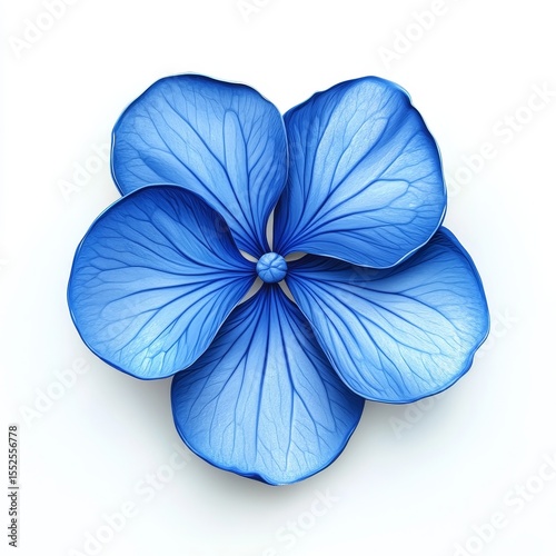 Top view of a blue flower with five petals, white background. 