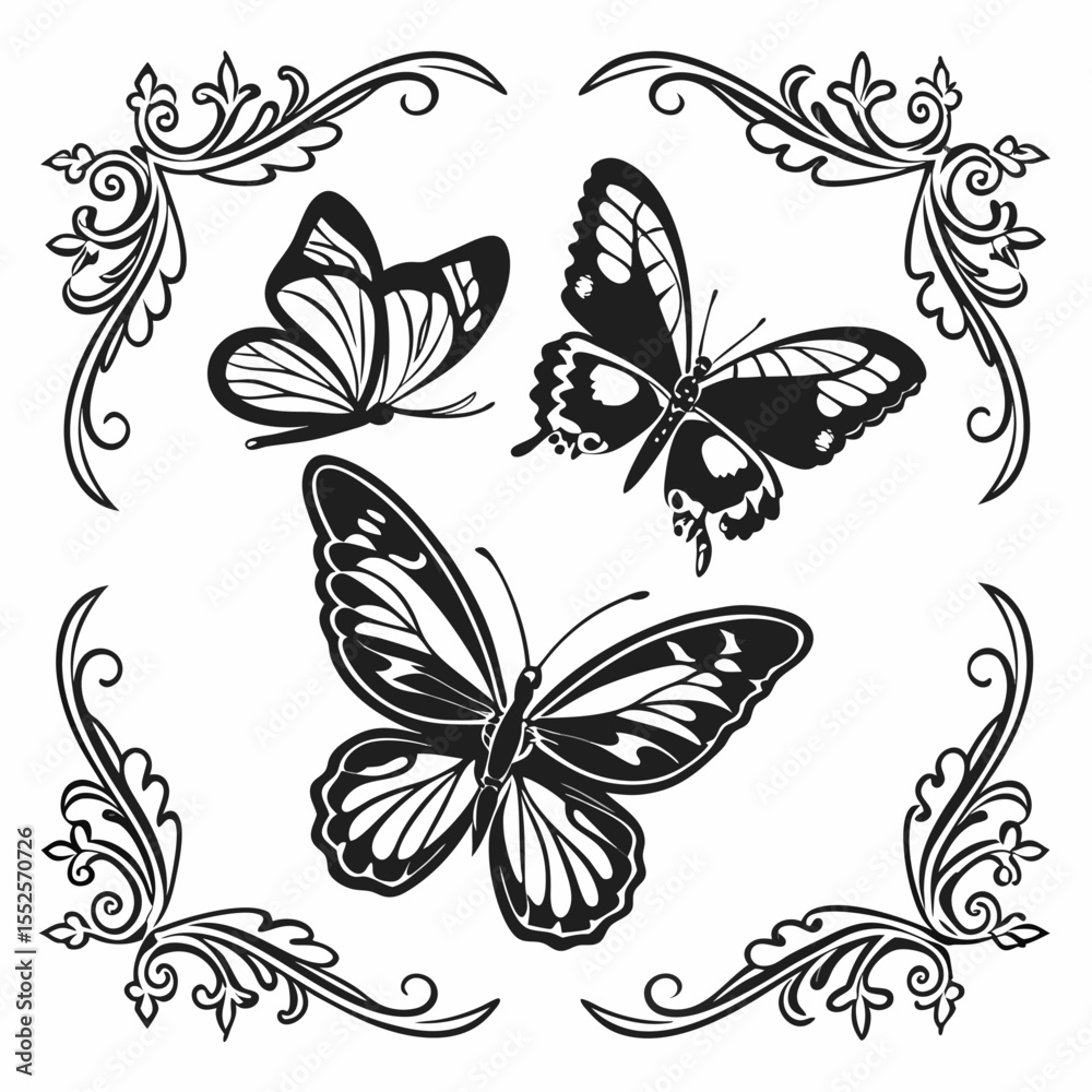 Fototapeta premium Framed Wings of Grace vector
