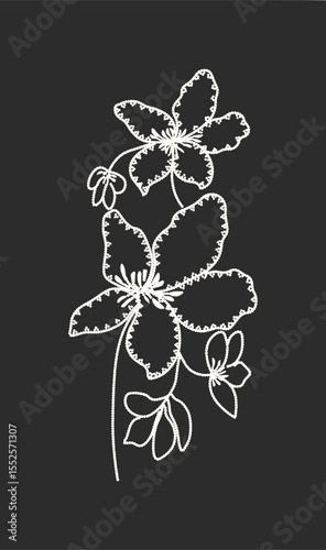Minimilist white floral design with detailed edges on a black background creates a simple yet elegant aesthetic vector