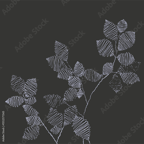 Minimilist stylized flower illustration with linear details on petals and center against a dark gray background vector