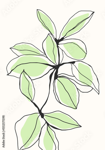 Minimilist illustration of a leafy branch with light green leaves and black outlines on a white background art piece vector