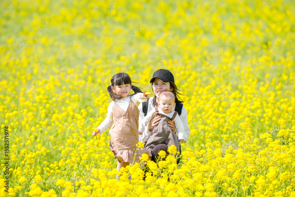A Japanese mother in her 30s holding her 6-month-old baby boy sits with her 3-year-old twin-tailed daughter in a fully blooming field of rapeseed flowers in the countryside. Captured in early March. A Japanese mother in her 30s holding her 6-month-old baby boy sits with her 3-year-old twin-tailed daughter in a fully blooming field of rapeseed flowers in the countryside. Captured in early March.