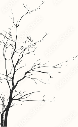 Minimilist silhouette of a bare tree branch with smaller branches extending against a white background image view vector