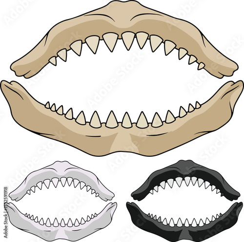 Vector illustration of predator jaws set. Open mouth with sharp teeth of a monster, dinosaur, or shark. Isolated on white background