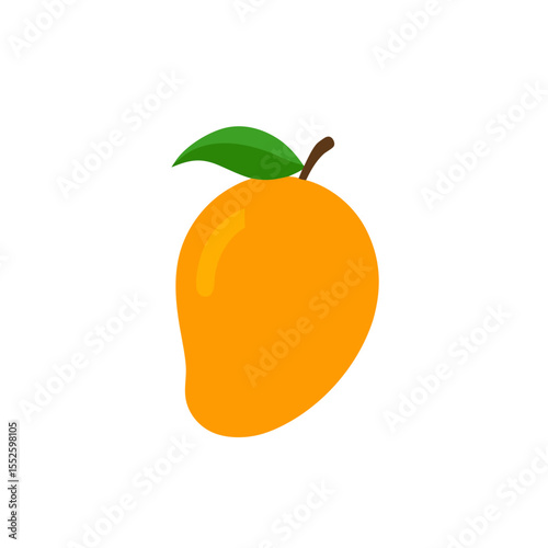 Mango vector
white background