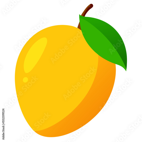 Mango vector
white background