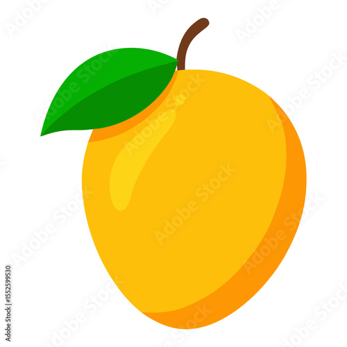 Mango vector
 white background