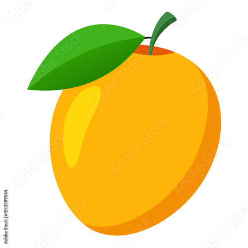 Mango vector
 white background