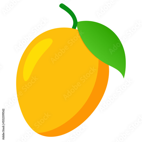 Mango vector
 white background