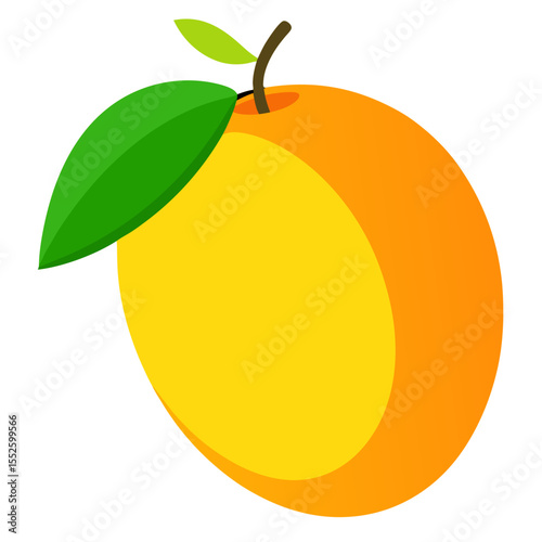 Mango vector
 white background