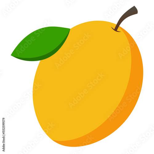 Mango vector
 white background
