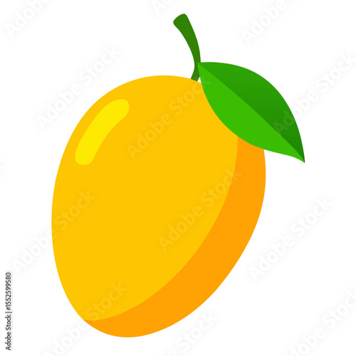 Mango vector
 white background