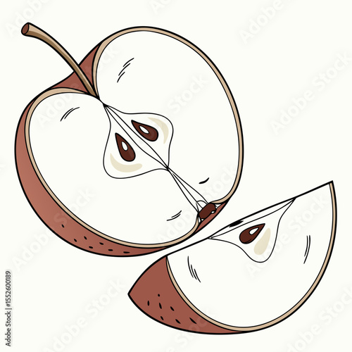 apple icon white background